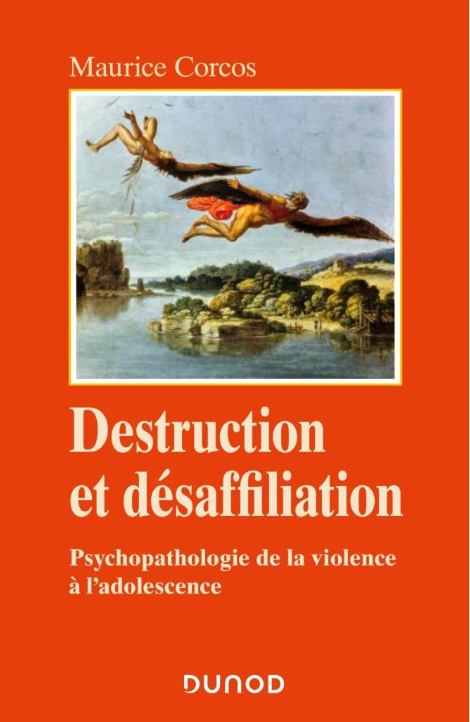 Destruction et désaffiliation - Psychopathologie de la violence à l'adolescence